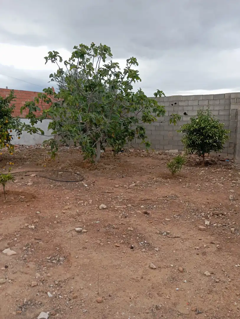 Nave industrial en venta en Catadau