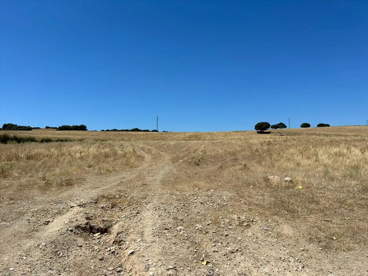 Terreny residencial en venda a ALTO DEL OLIVO, Polígono 45 Parcelas 50, 51 y 73, imagen 6