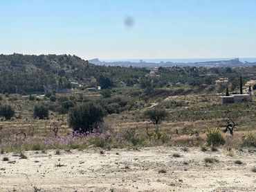 Lands and plots for sale in Agost