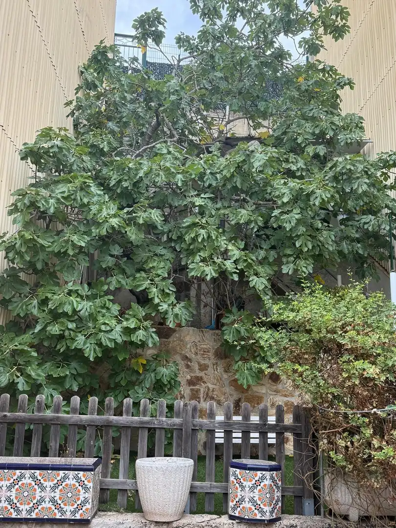 Casa o chalet en venta en Mercat - Mas Moixa