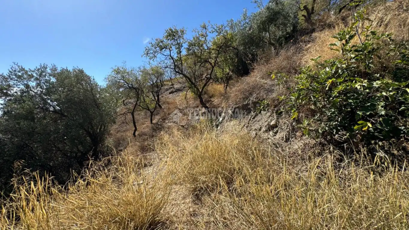 Finca rústica en venta en Albondón con Calefacción