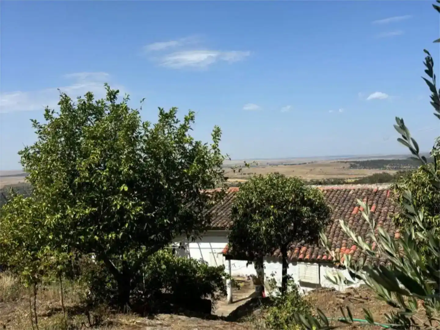 Jardí de Finca rústica en venda en Madroñera amb Jardí privat, Piscina i Moblat