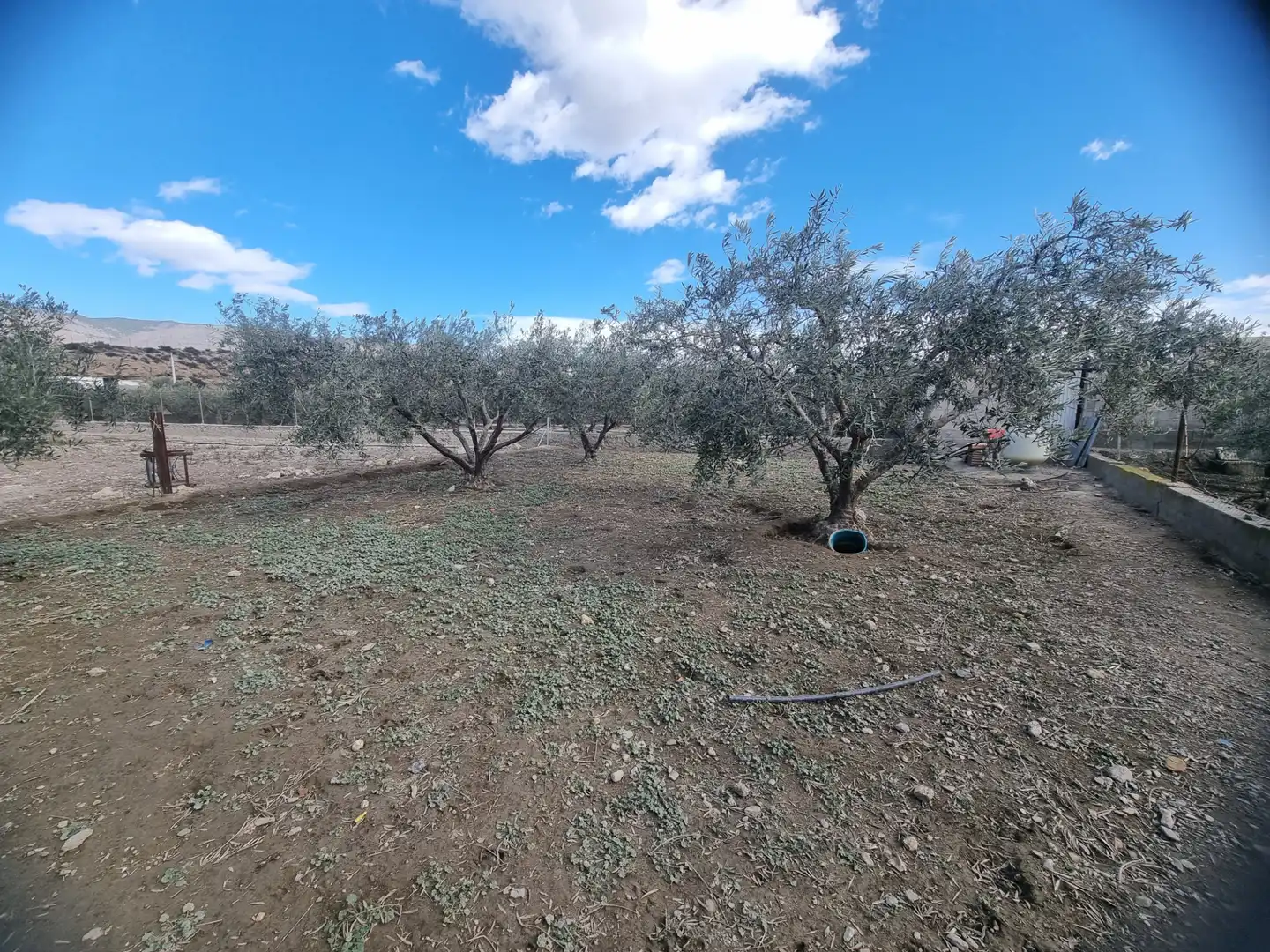 Finca rústica en venta en Pechina con Aire acondicionado, Calefacción y Jardín privado