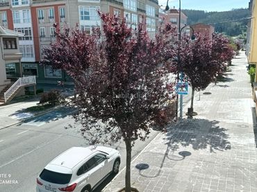 Appartamento in vendita a AC-566 72