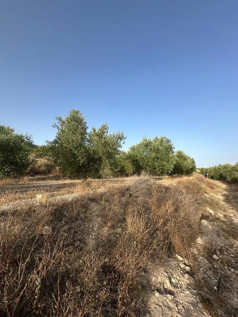 Finca rústica en venta en Somontín
