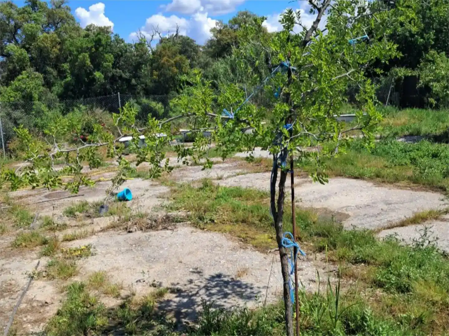 Pis en venda en Navalmoral de la Mata amb Aire condicionat, Jardí privat i Traster