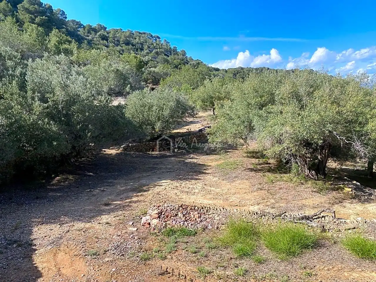 Terreno rustico in vendita a Puig Moltó, imagen 23