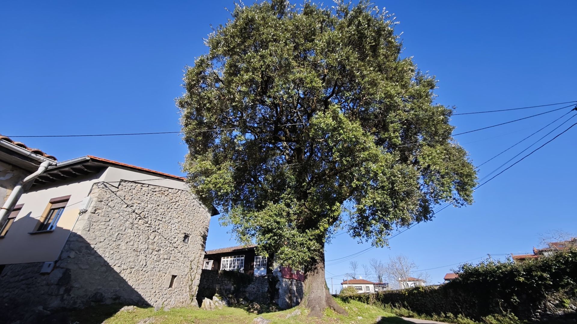 Vista exterior de Finca rústica en venda en Llanes amb Jardí privat
