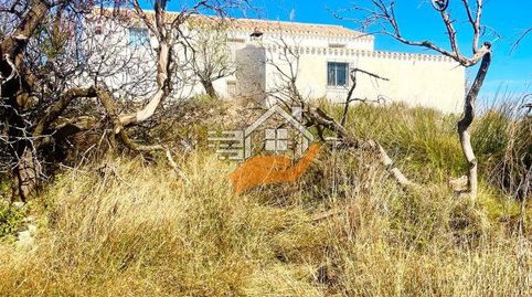 Foto 4 de Finca rústica en venta en Vélez-Blanco, Almería