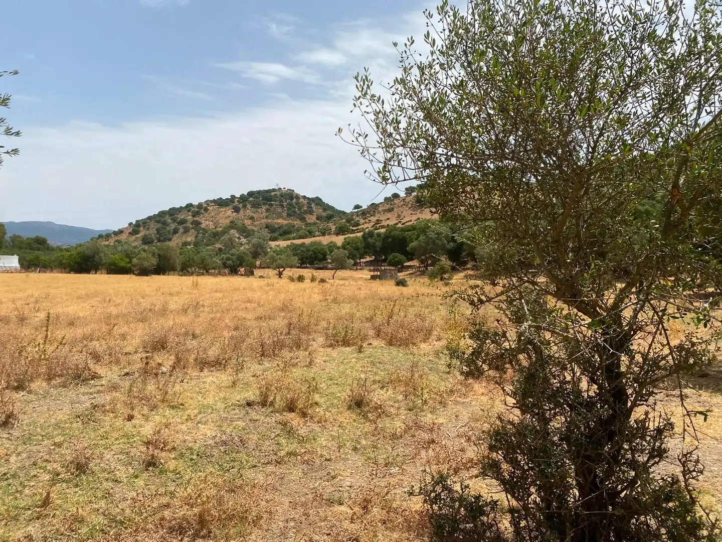 Terreni e lotti in vendita a Alcalá de los Gazules, imagen 71