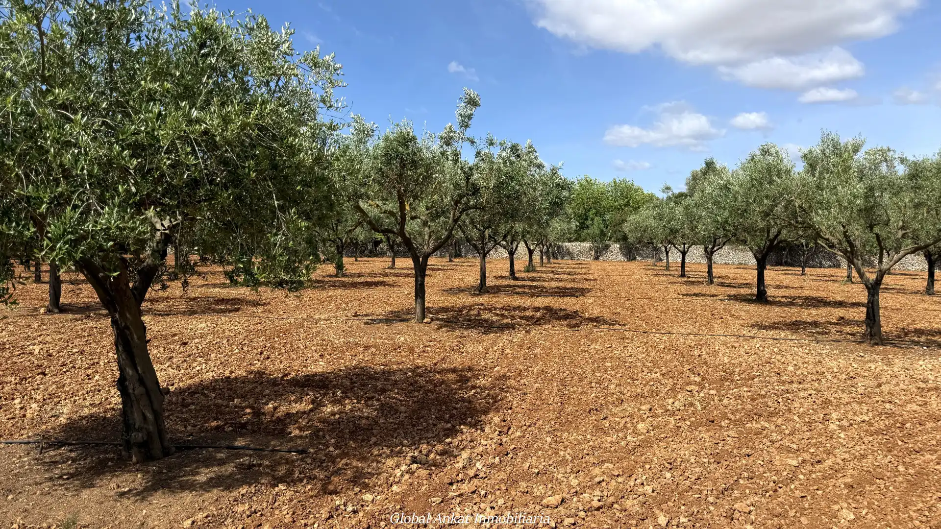 Maison rustique avec piscine à vendre à Felanitx Poble, imagen 60