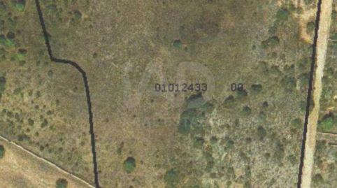 Foto 5 de Residencial en venta en Avenida San Frances de Formentera S/n, S/n, Formentera, Illes Balears