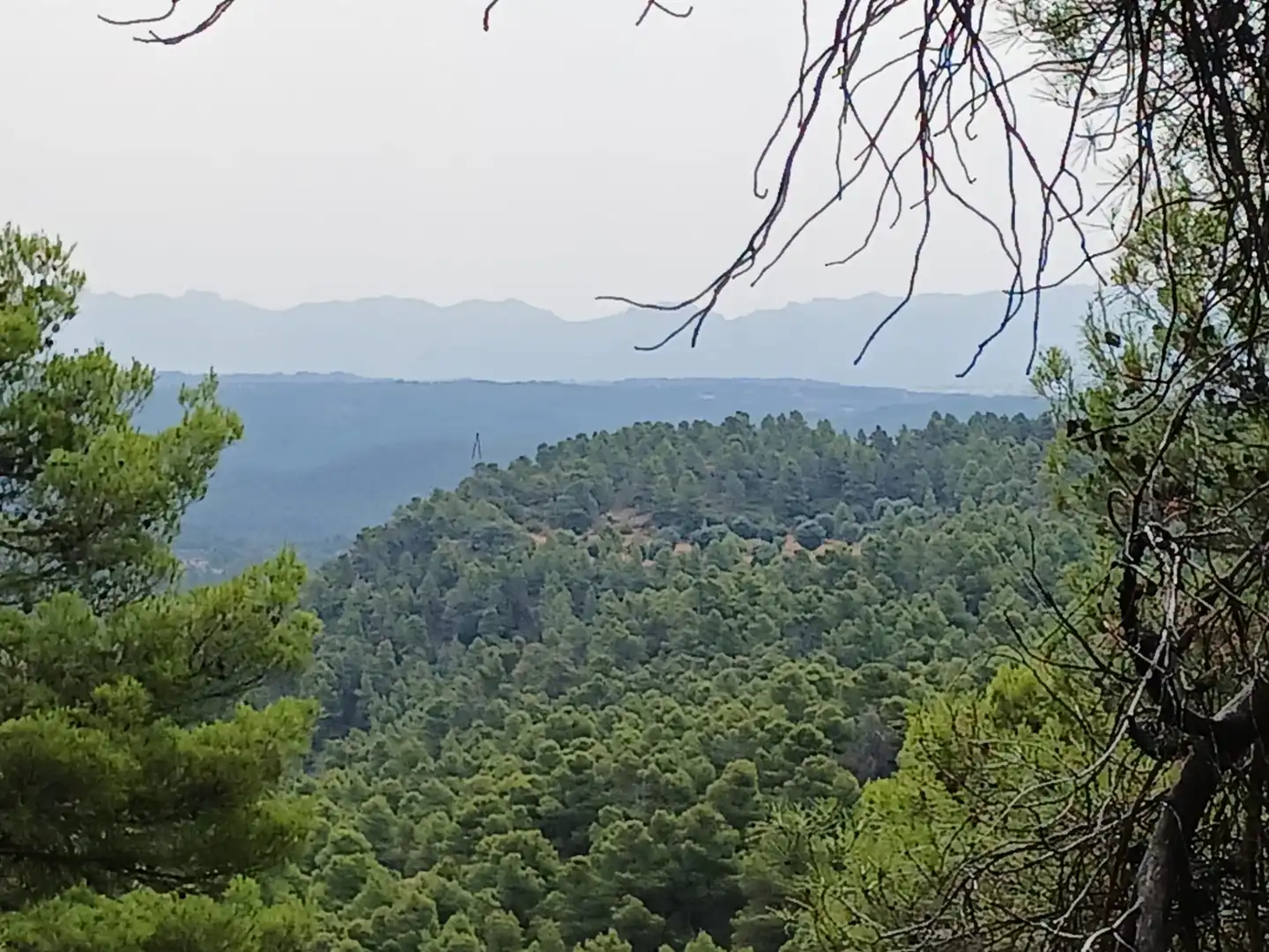Terreno rustico in vendita a La Fresneda, imagen 11