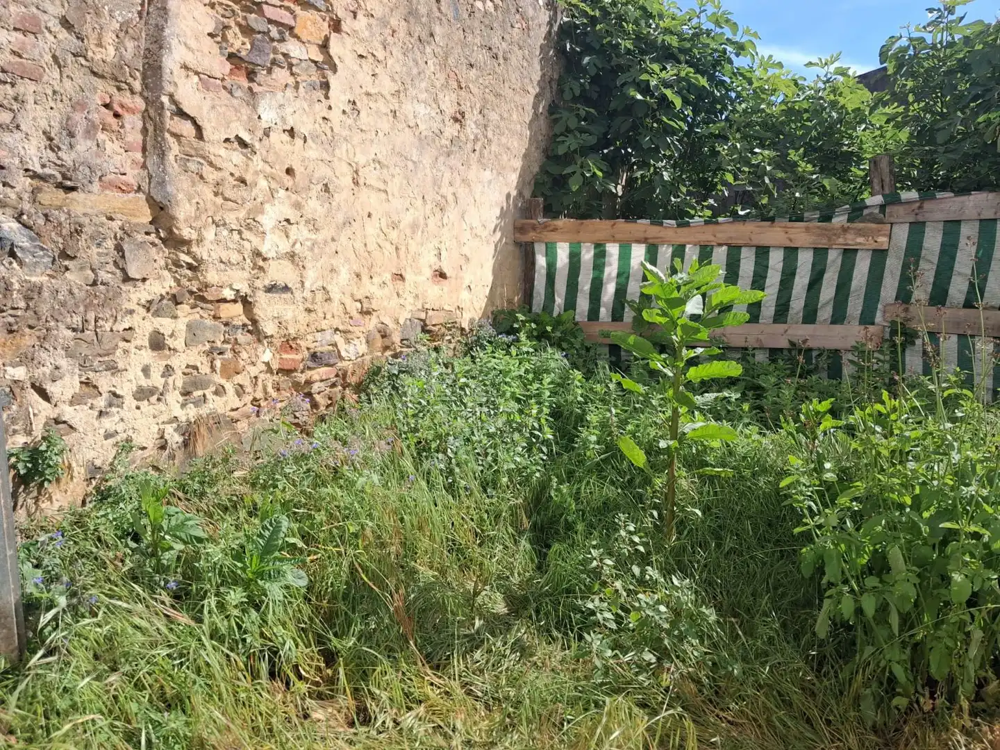Grundstücke und Bauplätze zum Verkauf in Aracena, imagen 3