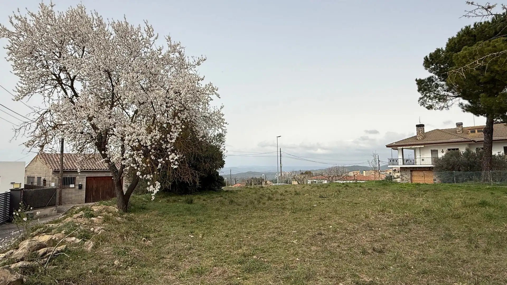 Terreni e lotti in vendita a Tramuntana