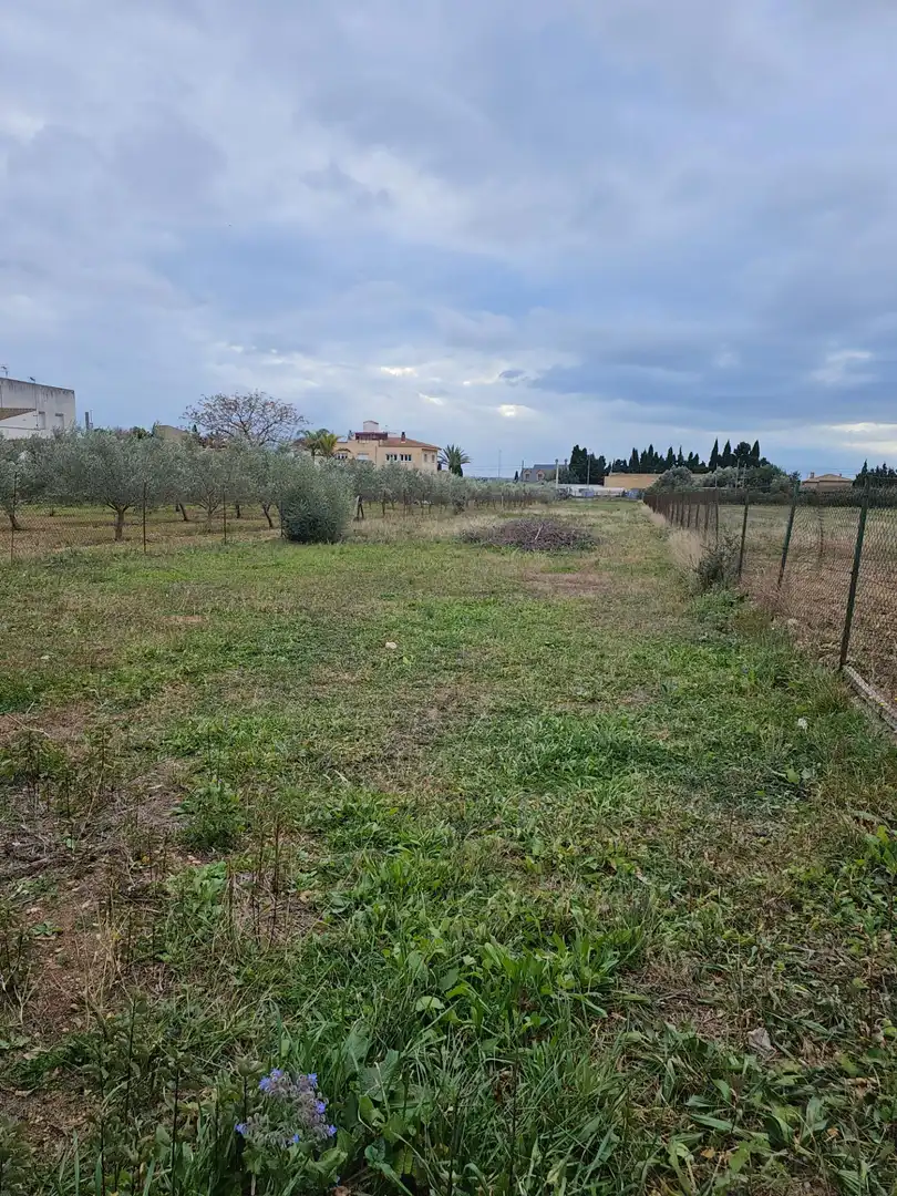 Country house for sale in L'Aldea, imagen 3