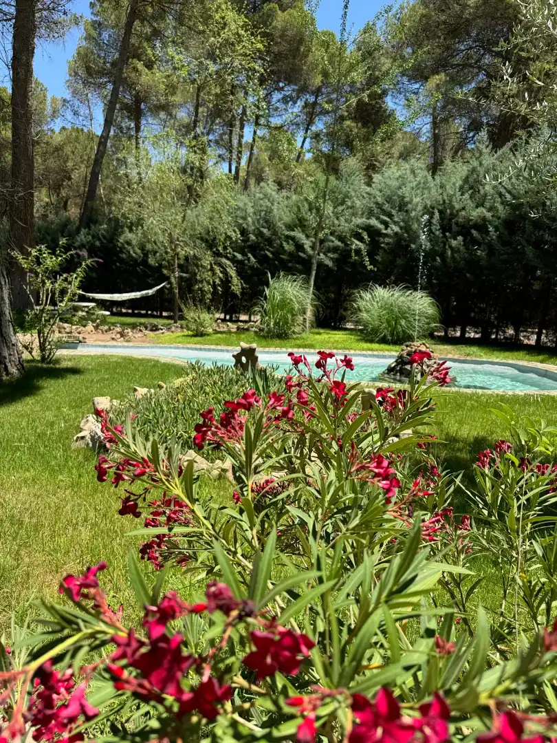 Maison avec piscine à vendre à Urbanización Pinares del Júcar 11A, imagen 13