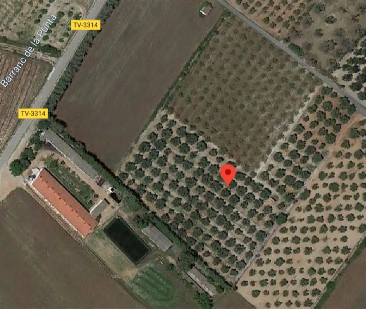 Rural land for sale in Godall, imagen 15