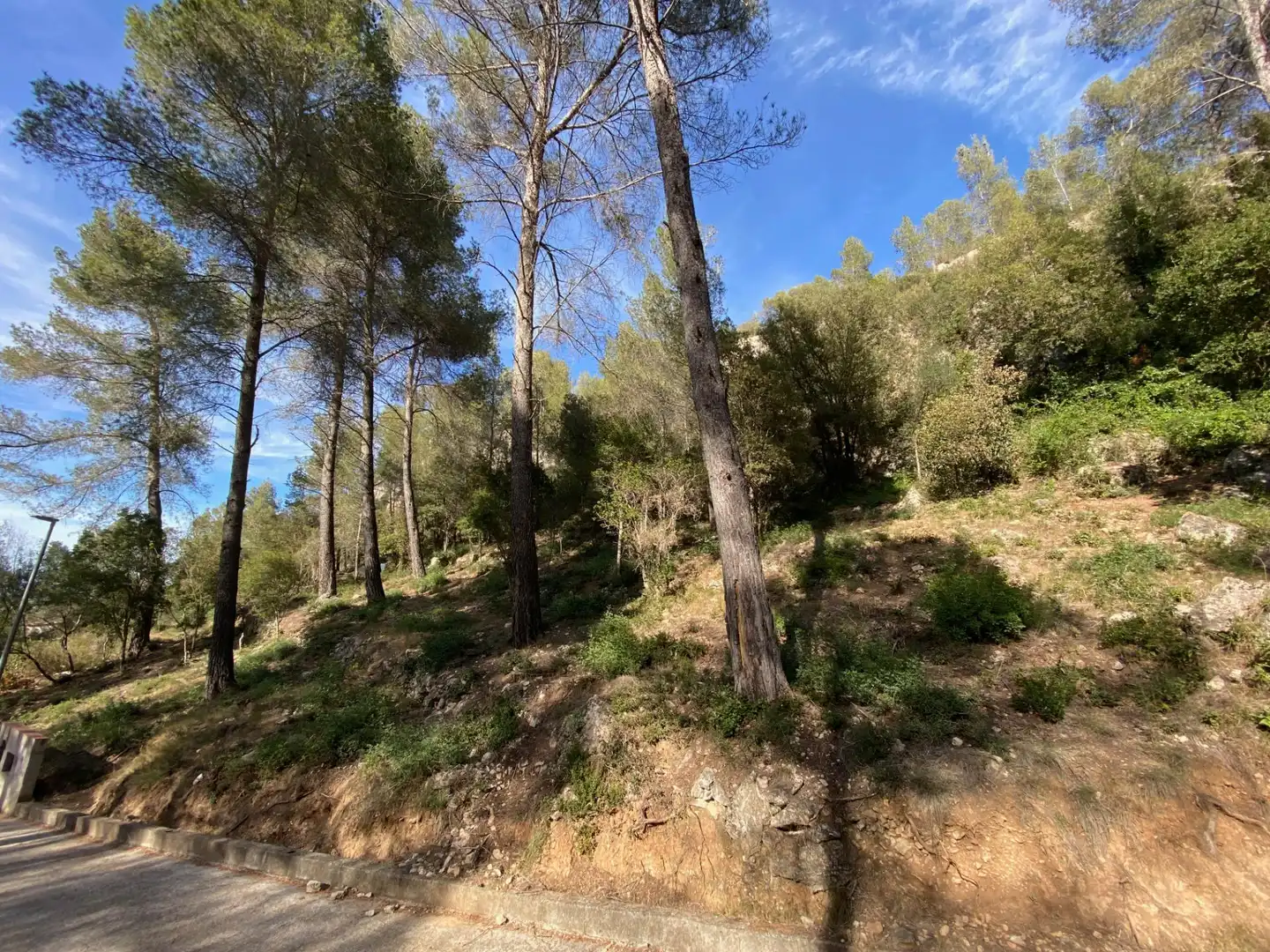 Terreny residencial en venda a Corbera de Llobregat, imagen 4