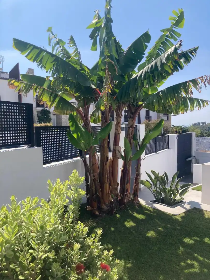 Chalet en venta en Costa Natura, imagen 29