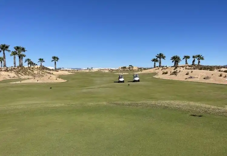 Penthouse with pool for sale in Terrazas de la Torre Golf, imagen 8