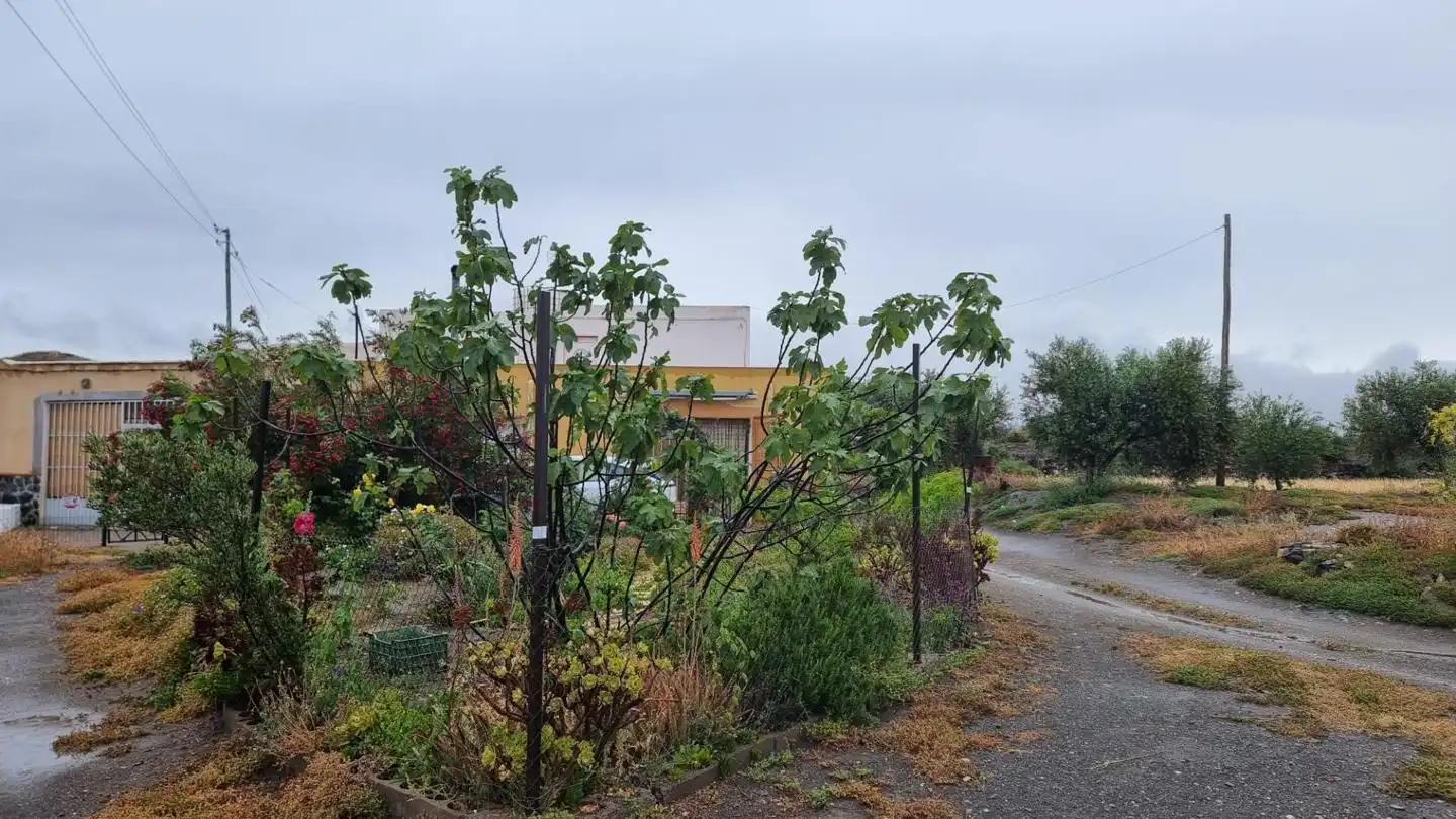 Country house with garden for sale in PARAJE PAGO DE OSCAYAR, imagen 22