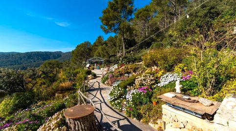 Photo 5 of Country house for sale in Camí de Son Bauçà, Establiments,  Palma de Mallorca