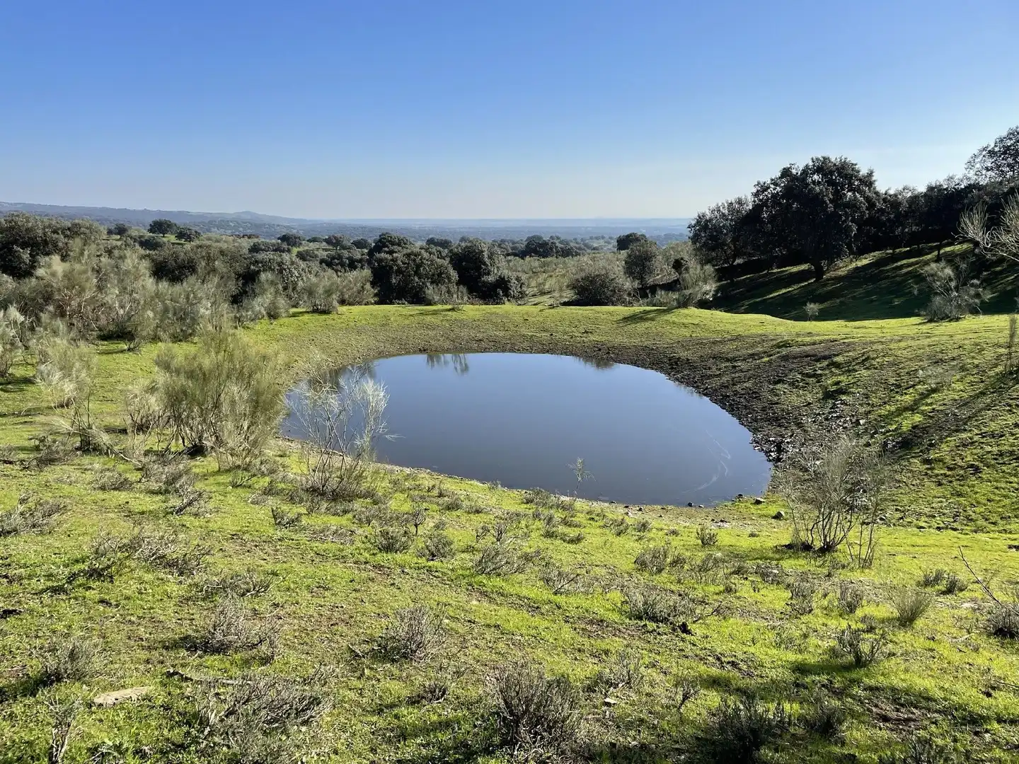Terreni e lotti in vendita a Malpartida de Plasencia, imagen 5