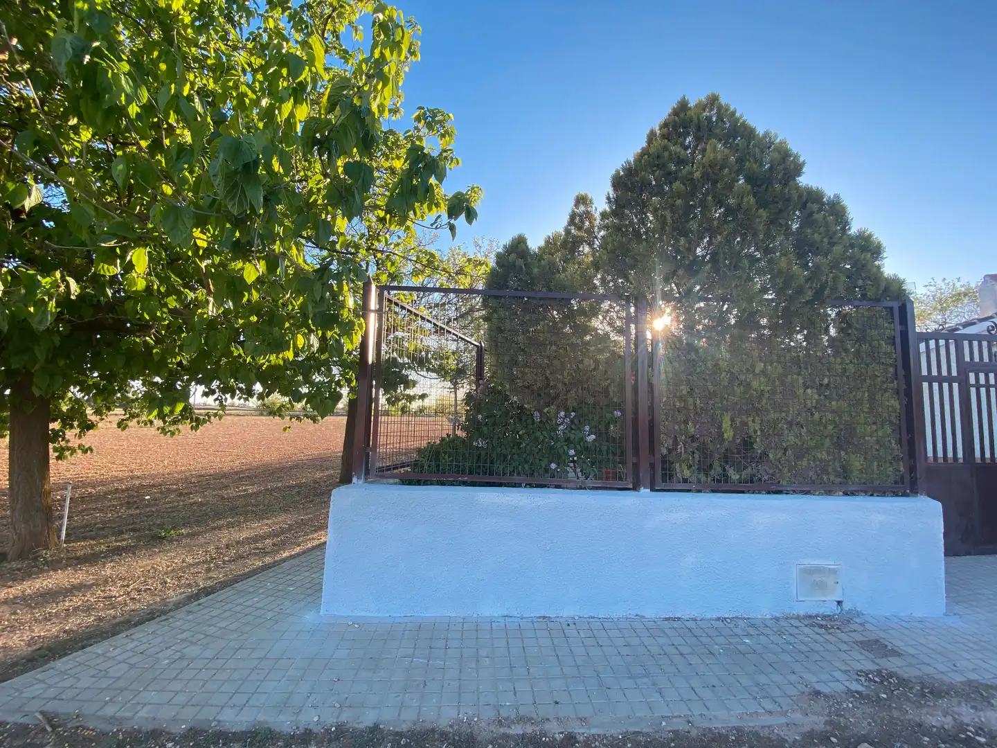 Vista exterior de Casa o chalet en venta en Tomelloso con Jardín privado, Trastero y Amueblado