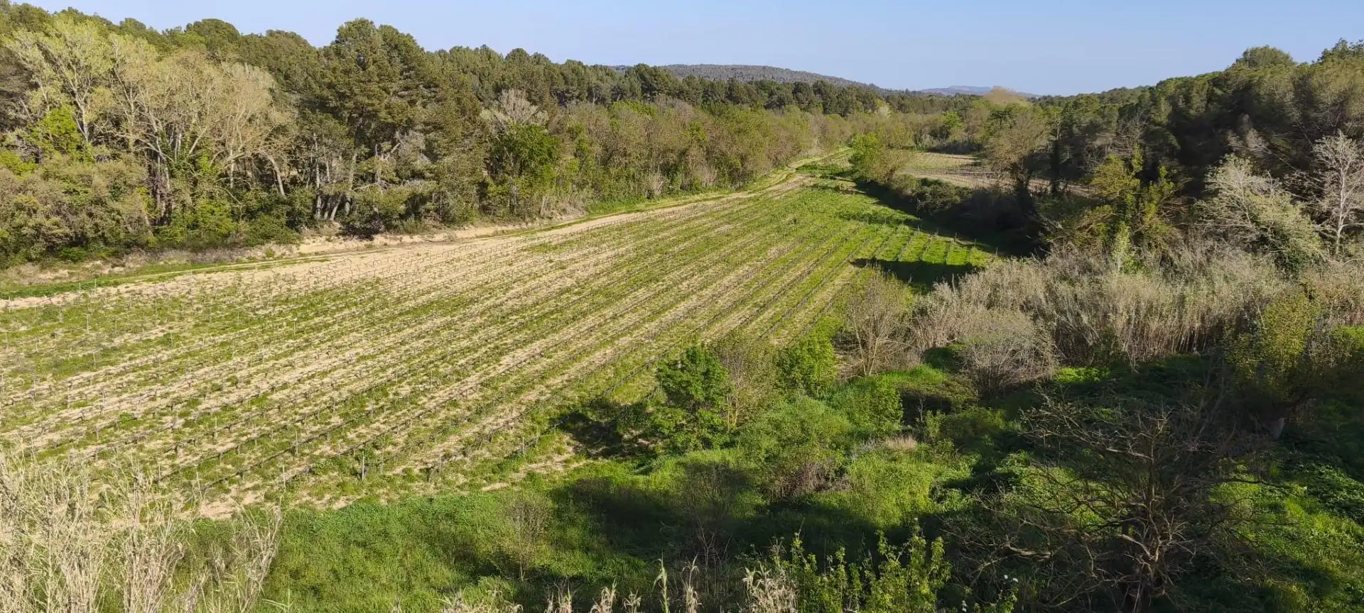 Casa rústica amb jardí en venda a Sant Martí Sarroca, imagen 16