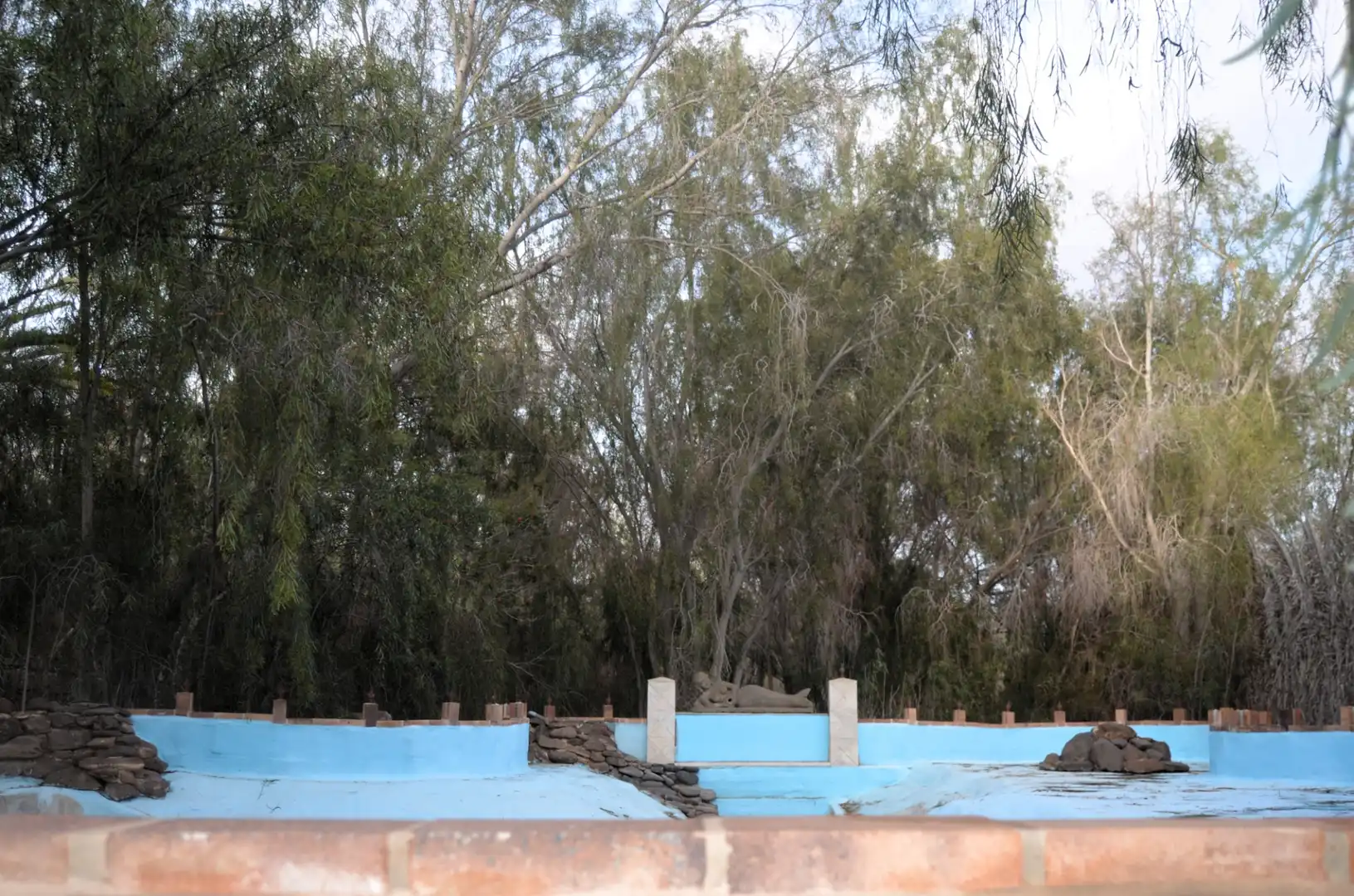 Piscina de Casa o xalet en venda en Pájara amb Jardí privat, Terrassa i Piscina