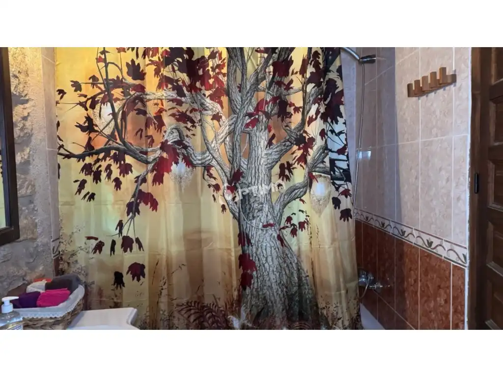 Bathroom of Country homes for sale in Villalonso