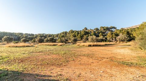 Photo 4 of Residential for sale in Jesús Pobre, Dénia