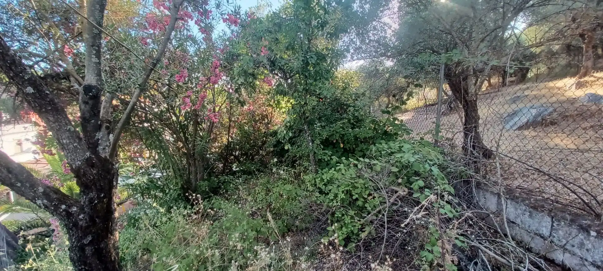 Casa amb jardí en venda a Constantina, imagen 51