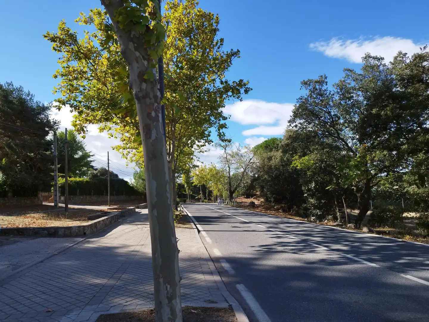 Terreno en venta en Colmenar del Arroyo