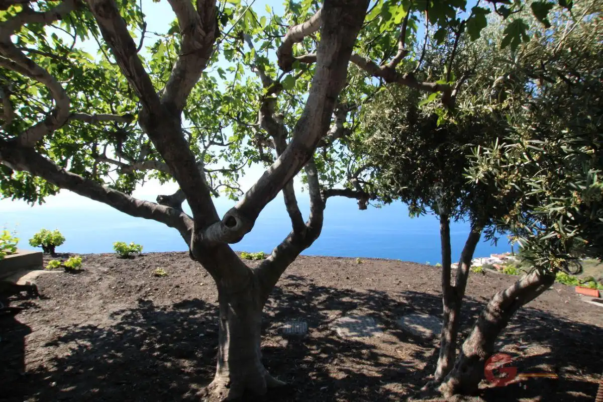 Casa rústica en venda a Monte los Almendros - El Pargo - Costa Aguilera, imagen 12