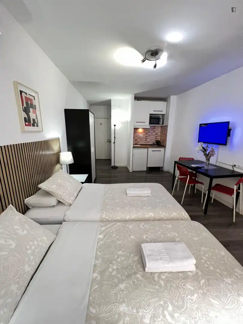 Estudio de alquiler en Arapiles
