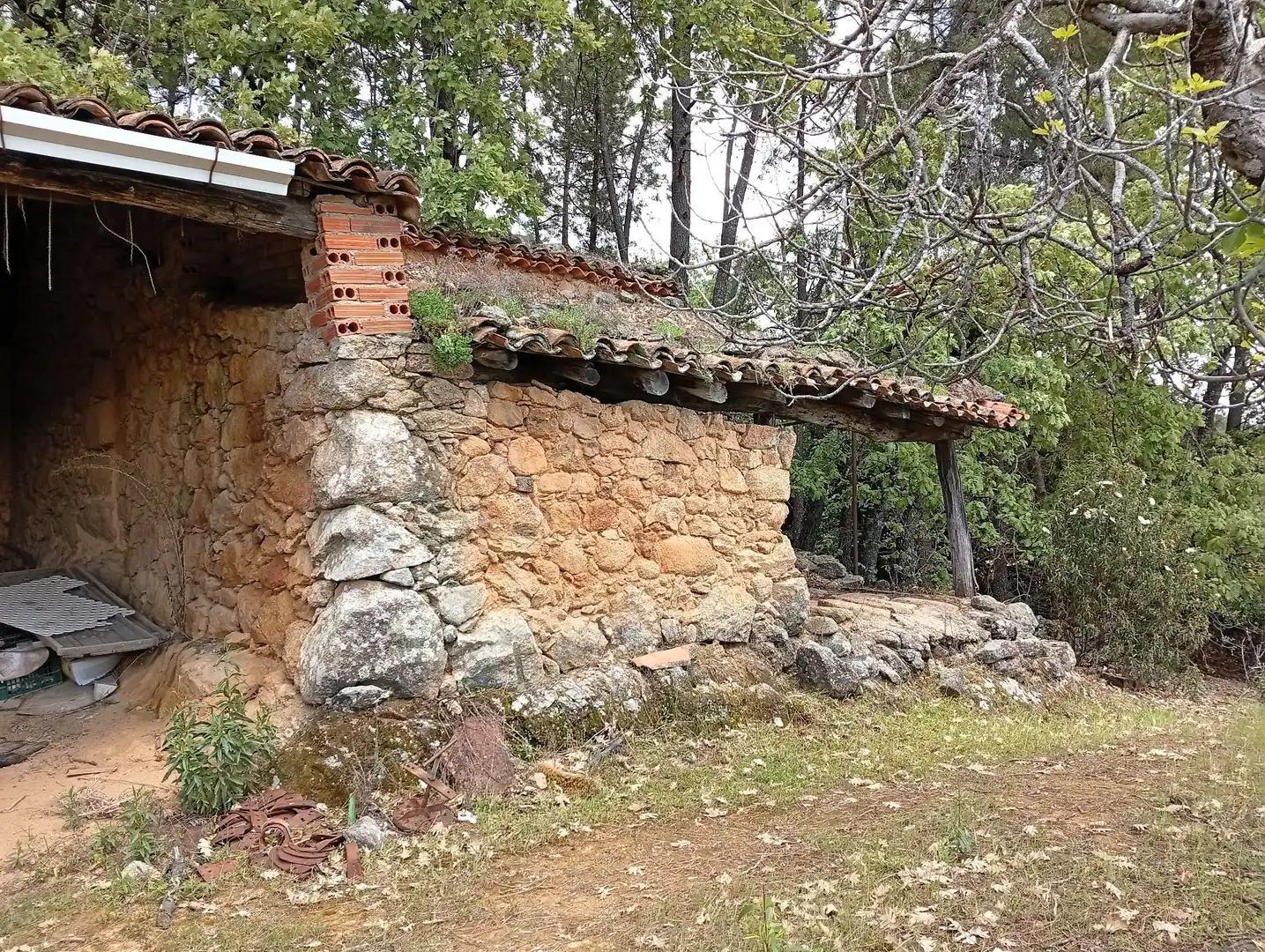 Terreni e lotti in vendita a Villanueva de la Vera, imagen 4