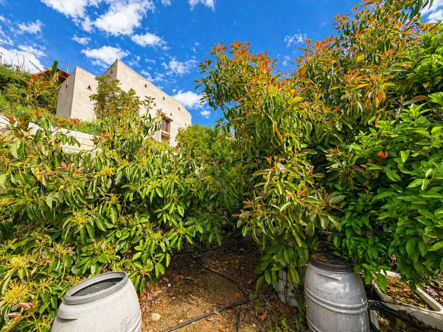 Villa avec terrasse à vendre à Rio Bermuza