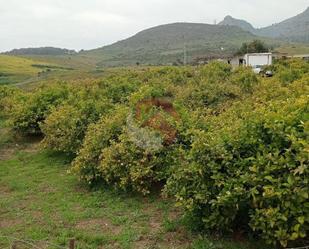 Finca rústica en venda en Pizarra amb Terrassa