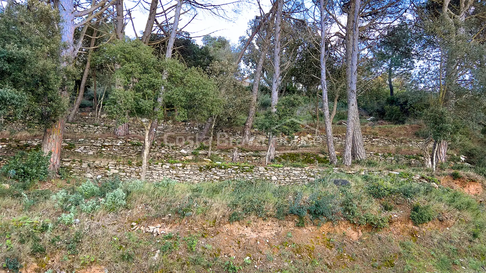 Terrenos y solares en venta en Carrer de Son Rich, imagen 11