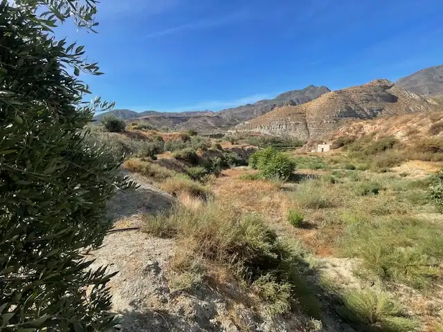 Terreno rustico in vendita a Calle Rio de Terque 2, imagen 6