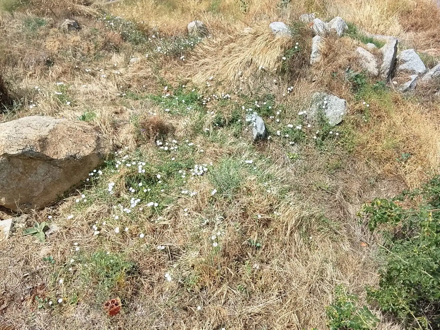 Terrenos y solares en venta en Robledo de Chavela, imagen 12