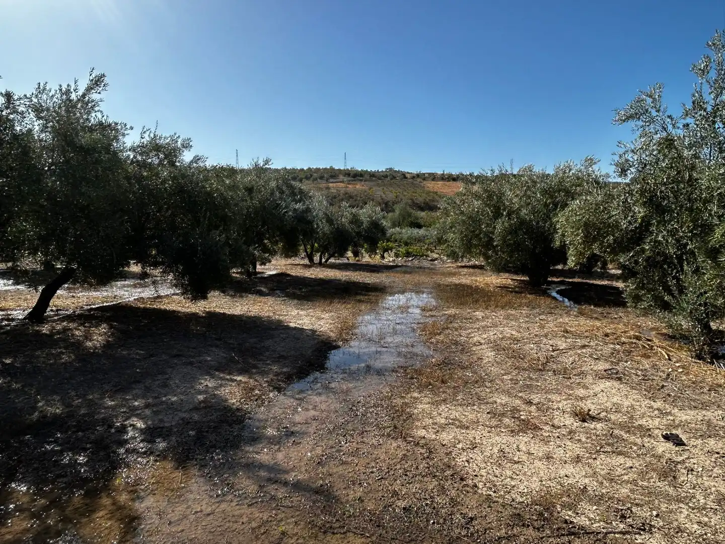 Terreni e lotti in vendita a Calicasas, imagen 15