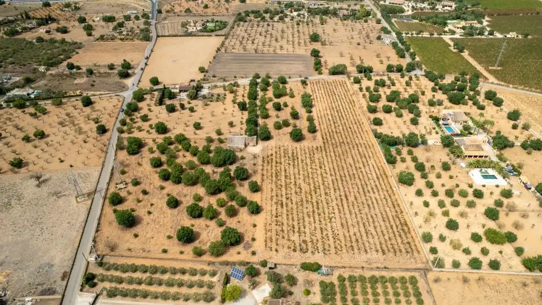 Land for sale in Consell