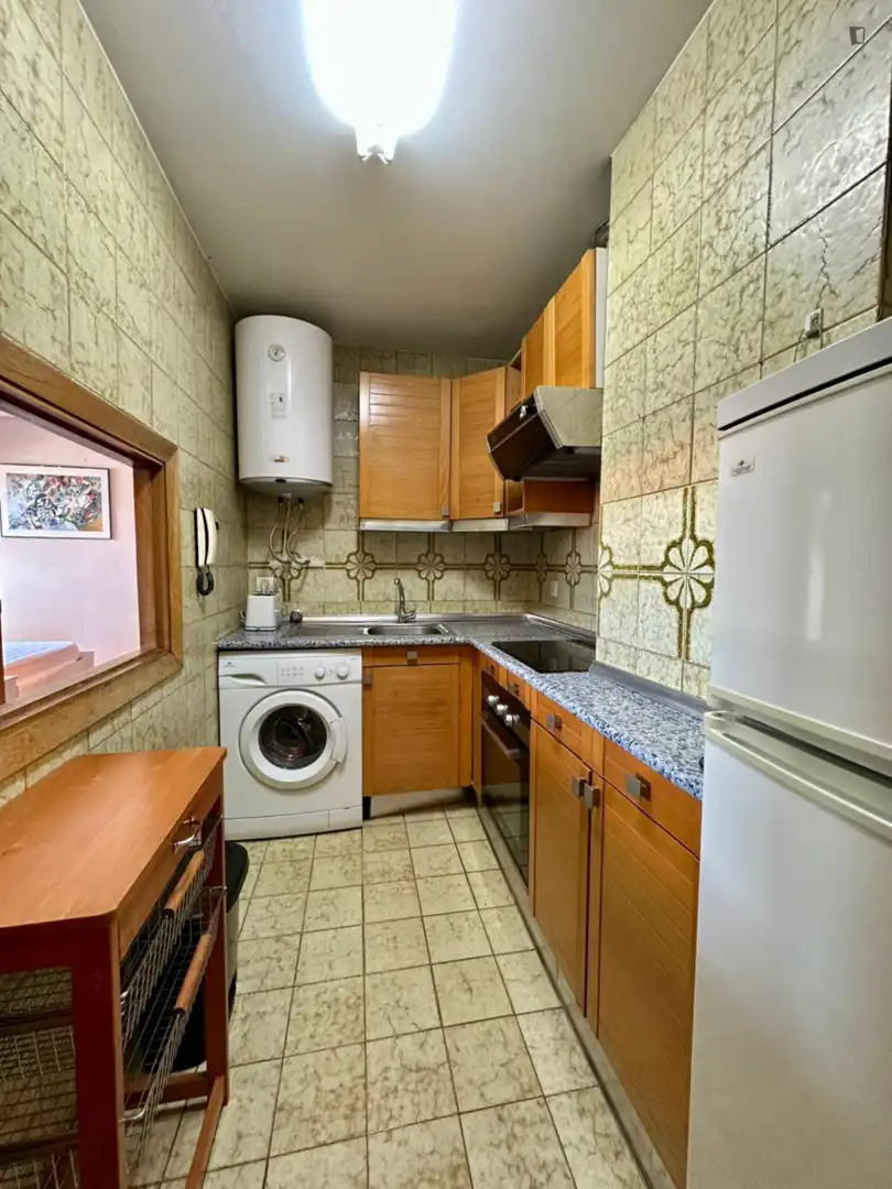 Cuina de Apartament de lloguer en Madrid amb Calefacció, Moblat i Forn