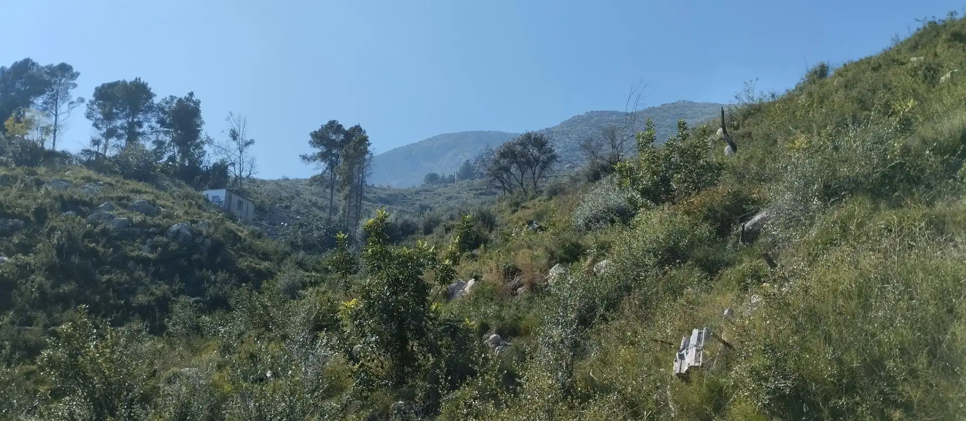 Rural land for sale in Pego, imagen 12