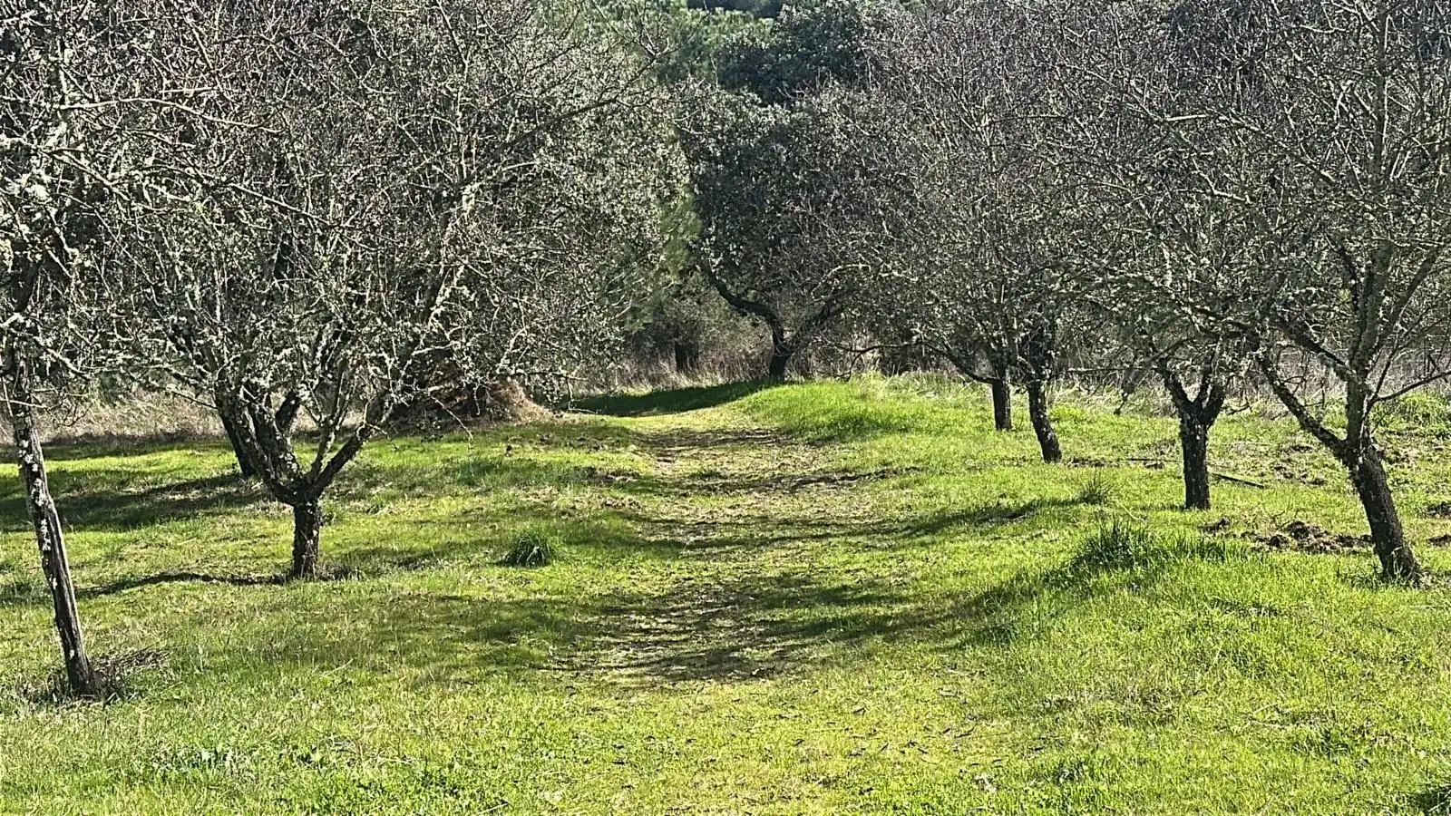 Casa o chalet en venta en Villaviciosa de Córdoba con Calefacción, Jardín privado y Terraza