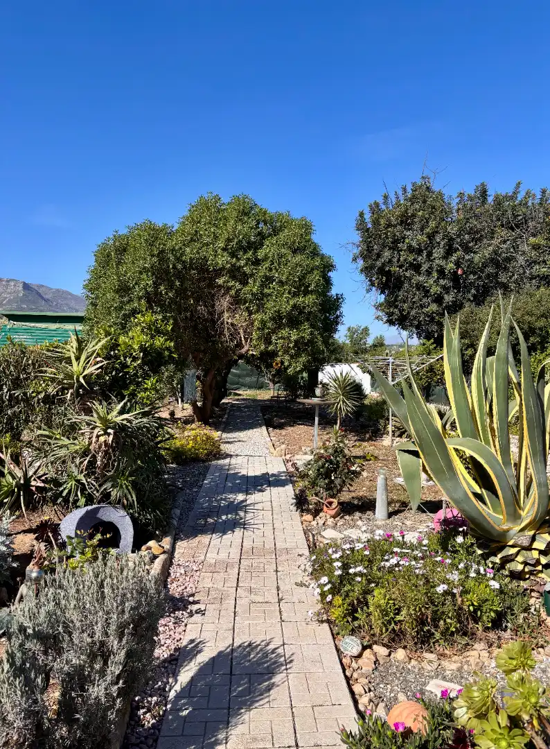 Jardín de Casa o chalet en venta en Alhaurín de la Torre con Aire acondicionado, Calefacción y Jardín privado