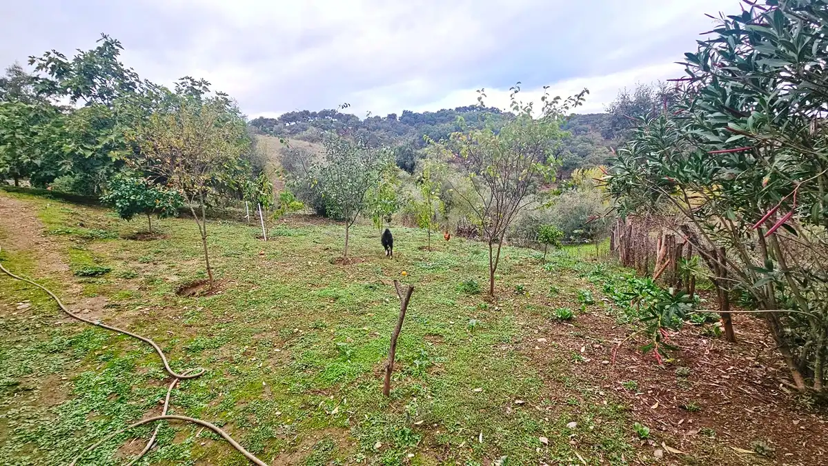 Houses for sale in Cortegana  with Private garden, Terrace and Storage room